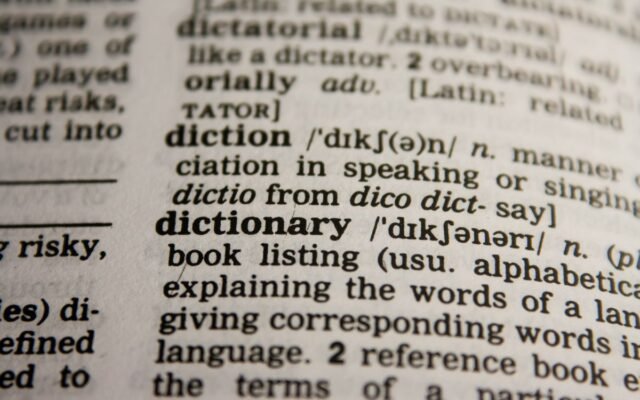 Detailed close-up view of a dictionary page highlighting the word 'dictionary' and its definition