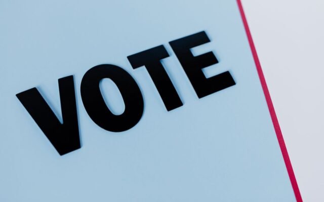 Close-up of the word 'VOTE' on a minimal background